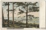 Rīgas jūrmala. Skats uz jūru.
