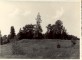 

Braki.  Jāņkalniņš ar bērzu vidū. 1959.gada vasara.

