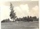 

Braki.  Jāņkalniņš ar  Jāņa Ķirškalna stādītu bērzu vidū. 1959.gada vasara.
