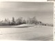 

Braki. Jāņkalniņš. 1959.gada ziemā.
