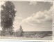 

Braki. Skats no Jāņkalniņa uz Pakšēnu pusi, priekšplānā kreisajā pusē liels bērzs 1960.g. vasara

