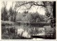 Braki. Pirtsdīķis ar vītoliem, skalbjiem un laipu. 1960.g. vasarā