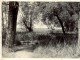 Braki. Pirtsaka, kreisā pusē priekšplānā koka stumbrs.   1960.g. vasarā