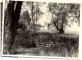 Braki. Pirtsaka, kreisā pusē priekšplānā koka stumbrs. aiz akas skalbji., tālāk redzams lauks 1960.g. vasarā