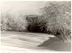Braki. Sausā grava  1960.g. ziemā