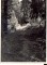 
Braki. Simtsoļu taka.1960.g. vasara
