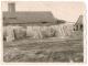 KGB_PaB_Padures_keramika_caurules_1957_2